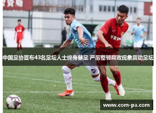 中国足协宣布43名足坛人士终身禁足 严厉整顿腐败现象震动足坛