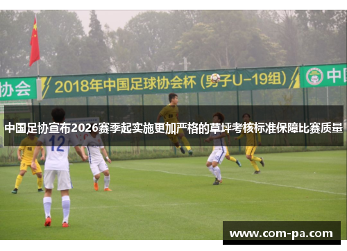 中国足协宣布2026赛季起实施更加严格的草坪考核标准保障比赛质量 中国足协宣布2026赛季起实施更加严格的草坪考核标准保障比赛质量