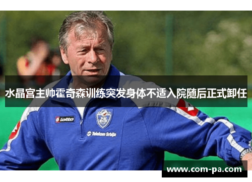 水晶宫主帅霍奇森训练突发身体不适入院随后正式卸任