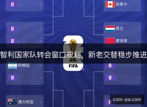 智利国家队转会窗口规划，新老交替稳步推进
